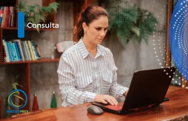 Consulta
